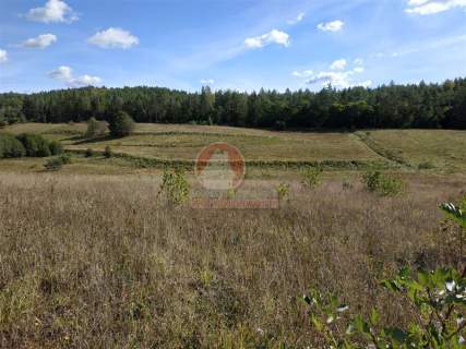 11 ha KLONOWO DOLNE -zabudowa mieszkaniowa