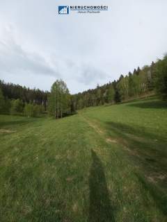 Działki inwestycyjno-budowlane Duszniki-Zdrój, SKI