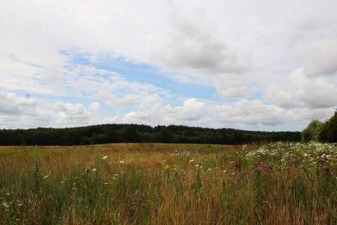 Działka budowlana na sprzedaż, 1500 m2, Charzyno