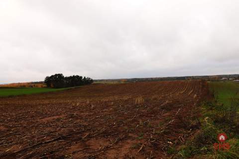 Działka rolno-budowlana - Żegary, gm. Sejny