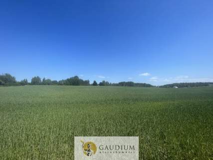 Działka o powierzchni 3012 m2 I gm Kolbudy