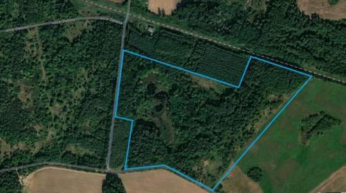 Dygowo teren 10,2 ha ze stawem w lesie
