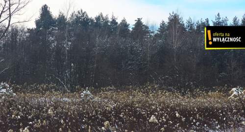 2 działki rolne w Osieku-8595 m2