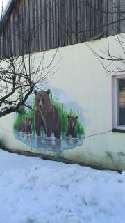 Gotowy biznes turystyczny - 4 domy. Bieszczady - 1,25 ha