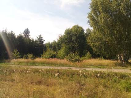 Działka budowlana Wałcz - Kłębowiec NOWA CENA