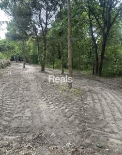 Działka budowlana Granica koło Komorowa