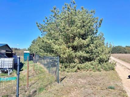 Spokój, natura, potencjał - 1,7 ha działki 