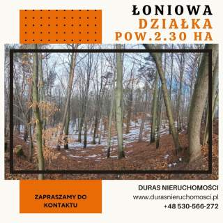 Łoniowa działka rolno-leśna 2,30 ha
