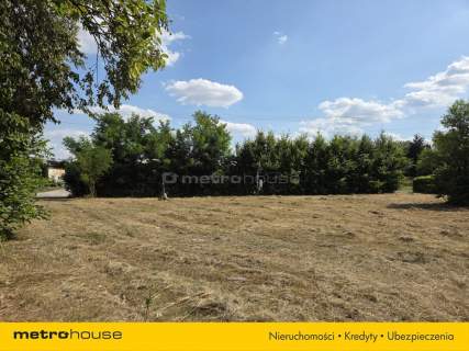 Działka siedliskowa na sprzedaż, 5800 m2, Noworąblów