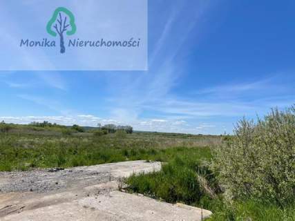 Działki nad morzem pod usługi hotelowe