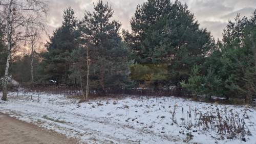 Piękna, klimatyczna działka przy puszczy...