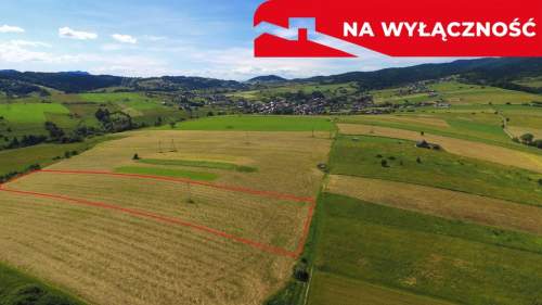 Działka w Grywałdzie 1,1003 ha warunki zabudowy