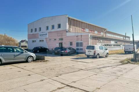 Hala o powierzchni 3000m2 w Cedrach Wielkich