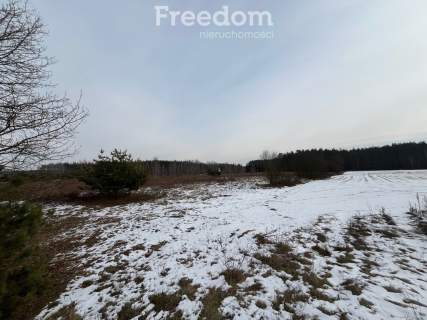 Działka usługowa w Lubiczu Dolnym