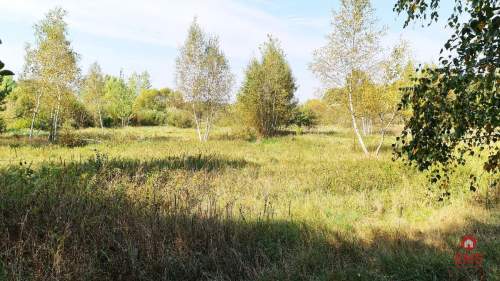 Ciasne. Działka budowlana 5100 m2.