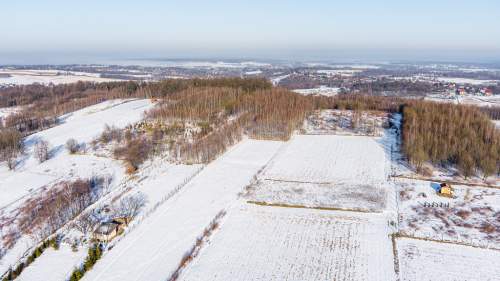 Działka leśna Grabno - gm. Wojnicz