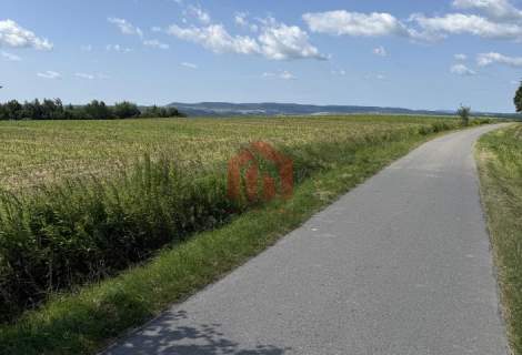 Działka na sprzedaż 26arow Brzeziny, gmina Wielopole Skrzyńskie