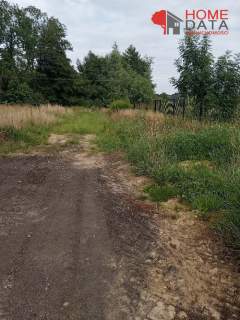 Działka pod mały domek w Opalenicy