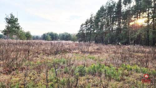 Działka 8500 m2, Jurowce