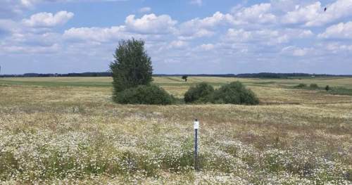 Działki budowlane w sercu Borów Tucholskich