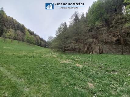 Działki inwestycyjno-budowlane Duszniki-Zdrój, SKI