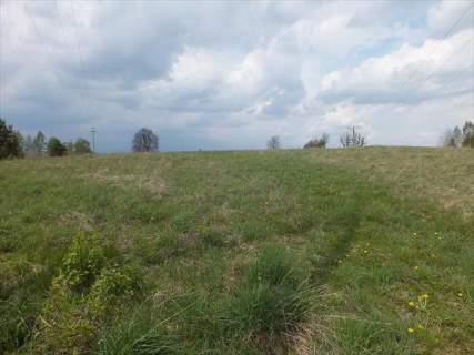 Działka blisko jeziora Mazury