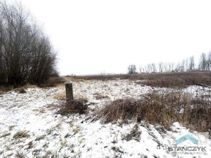 Działka Rolna 7700 m2 - 300 metrów do Zalewu