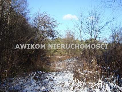 Działka siedliskowa na sprzedaż, 12248 m2, Petrykozy