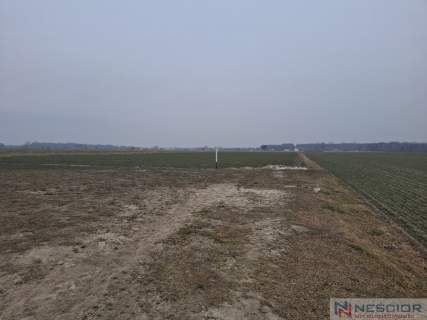Działka budowlana 1000 m w Boroszkowie
