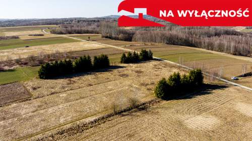 Działka budowlano-rolna 62 ar OŁPINY 