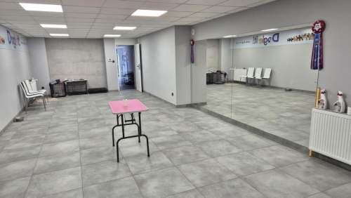 Lokal użytkowy do wynajęcia, 150 m2, Żyrardów