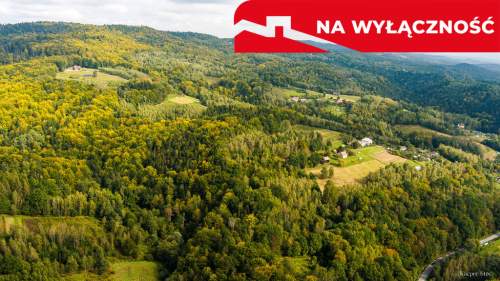 Działka rolno-leśna w Jodłówce Tuchowskiej