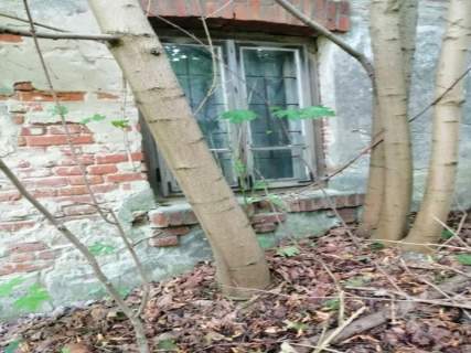 Syndyk sprzeda udział 1/6 w działkach Jędrzejów Nowy