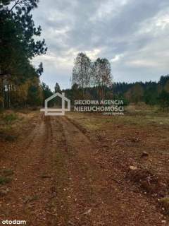 działka budowlana z lasem niedalek jeziora,Przewóz