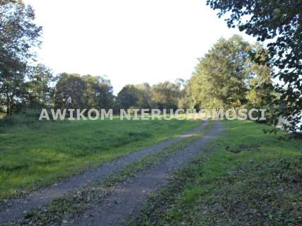 Działka inwestycyjna na sprzedaż, 53200 m2, Odrano-Wola