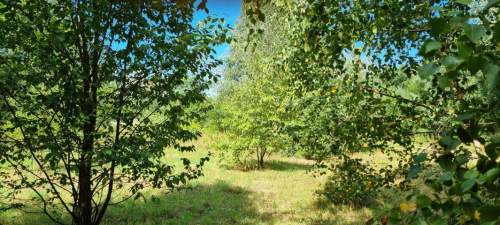 Działka budowlana na sprzedaż, 1000 m2, Rusiec