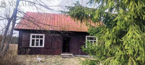 Domek we wsi Zielona z działką 2994 m2 cena 200000