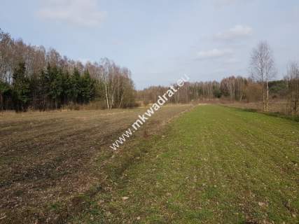 Borszyce gm.Kowiesy działka 7 283 m
