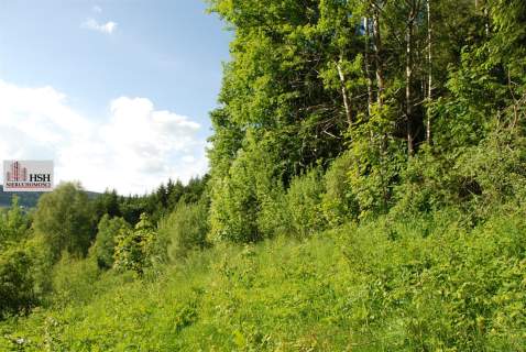Widokowa, 1,4ha bud. z lasem, Maków Podhalański