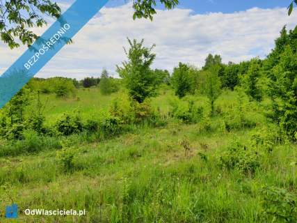 Działka 5400 m2 budowlana pod firmę, działalność, inwestycyjna,...