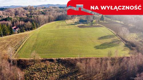 Działka rolna- Tuchów- Małopolska