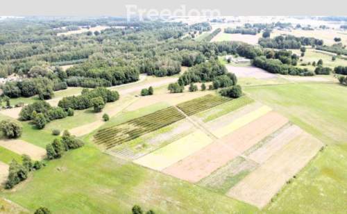Kompleks gruntów 4,74 ha w gm. Kazanów