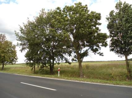 TEREN PRZEMYSŁOWO USŁUGOWY, MPZP, POBIEDZISKA
