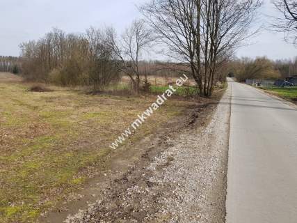 Borszyce gm. Kowiesy działka 11 128 m