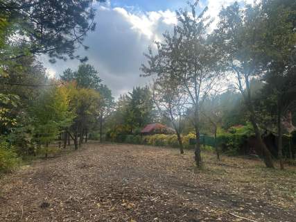Radachówka nad rzeką Świder 30min z W-wy trasą S17