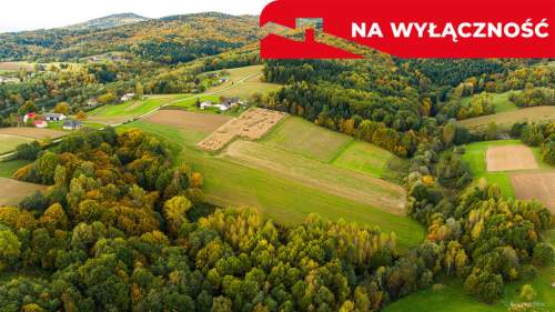 Działka Lichwinie. Rolno-leśna,   Nowa Cena   