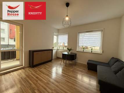 kawalerka 26,2m2 - Szwederowo