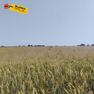 Działki budowlane Mogilany/ Buków pod 7 bliźniaków