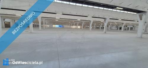 Hala magazynowa 12.500m2