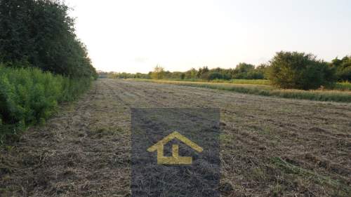 Nieruchomość w Nadbrzeżu.